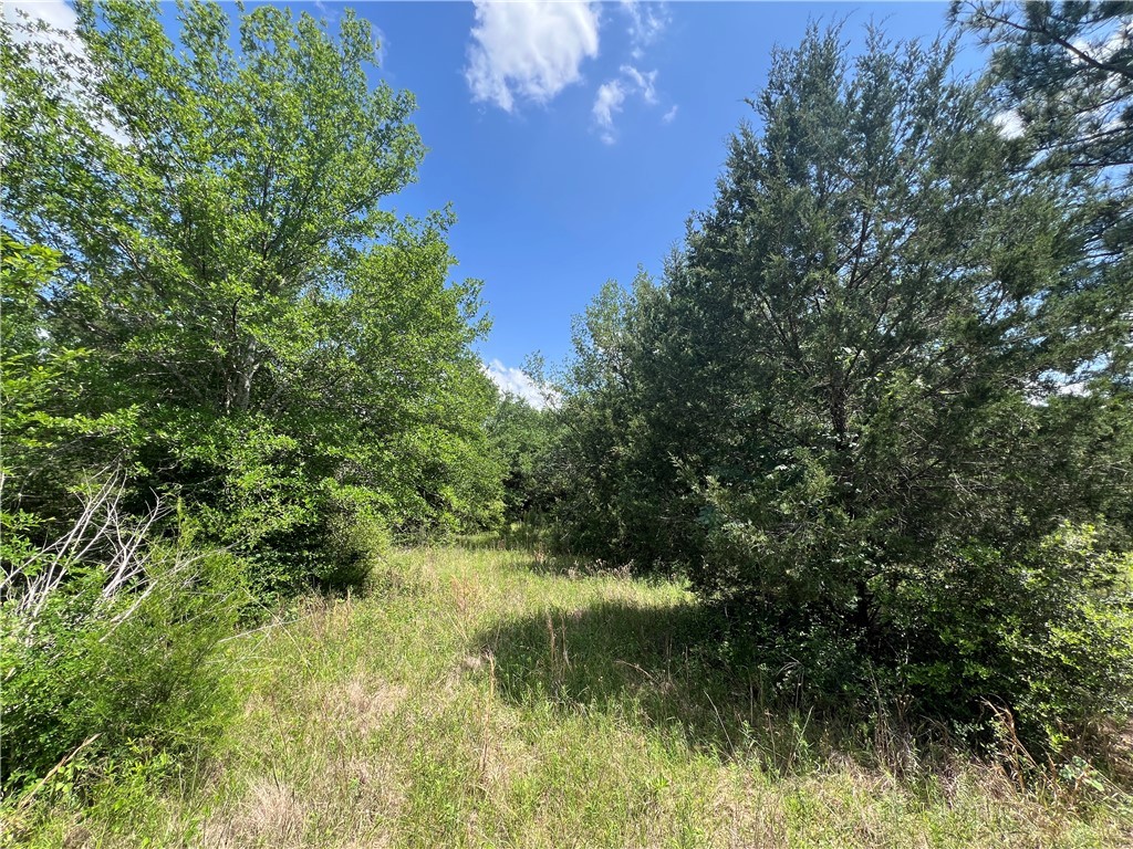 Lot #1 CR 218 , Anderson, TX, 77830 | 25003878 | Realty Texas LLC