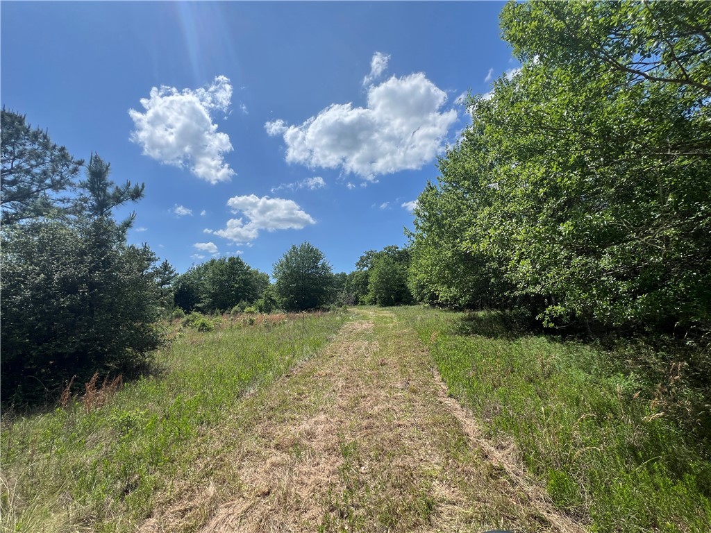 Lot #1 CR 218 , Anderson, TX, 77830 | 25003878 | Realty Texas LLC
