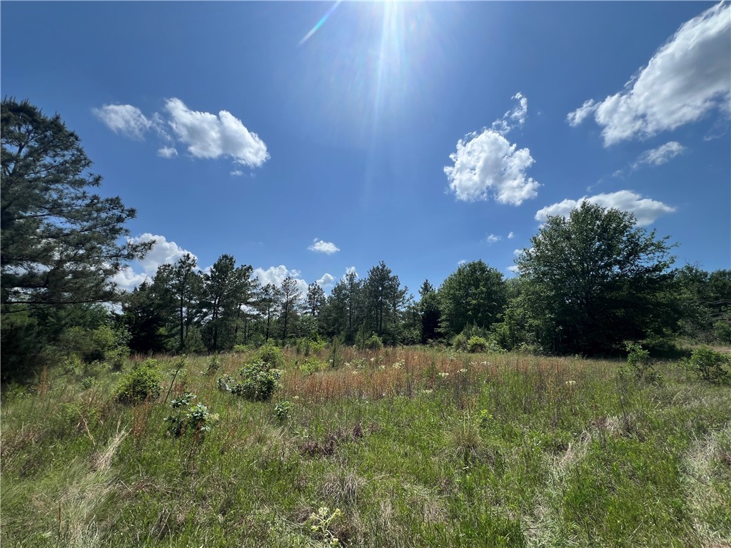 Lot #1 CR 218 , Anderson, TX, 77830 | 25003878 | Realty Texas LLC