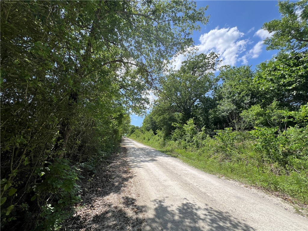 Lot #1 CR 218 , Anderson, TX, 77830 | 25003878 | Realty Texas LLC