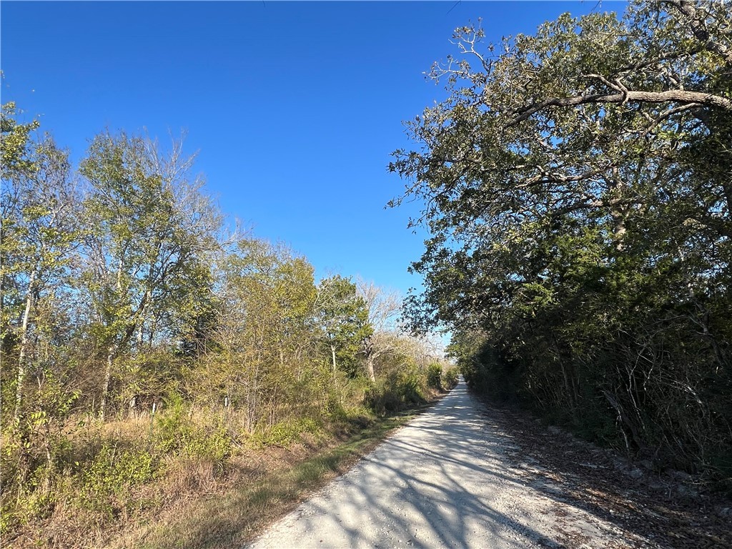 Lot #1 CR 218 , Anderson, TX, 77830 | 25003878 | Realty Texas LLC