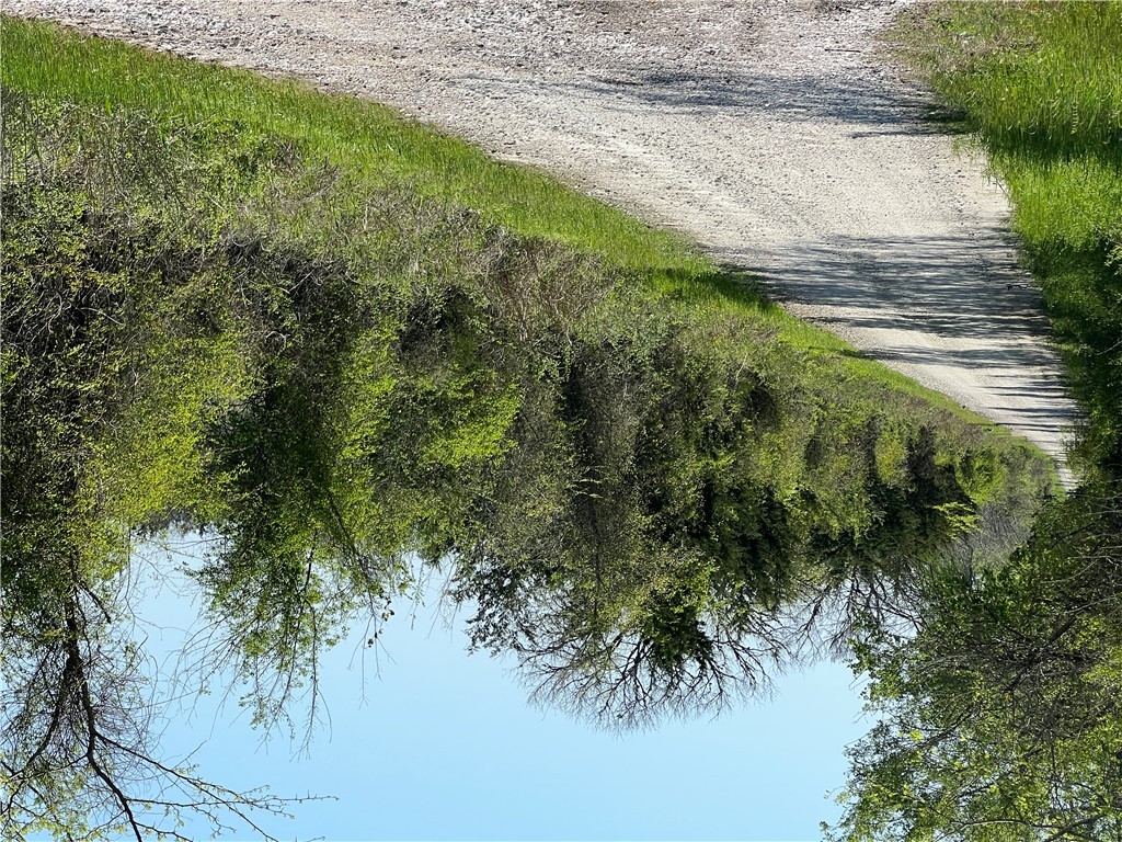 Lot #1 CR 218 , Anderson, TX, 77830 | 25003878 | Realty Texas LLC