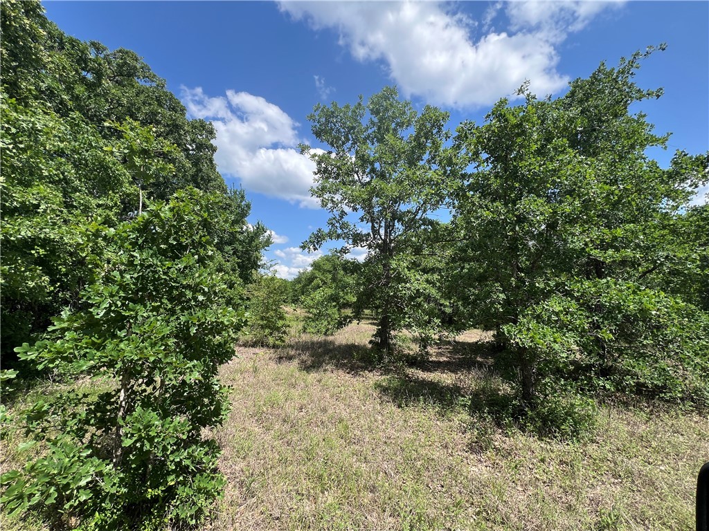 Lot #1 CR 218 , Anderson, TX, 77830 | 25003878 | Realty Texas LLC