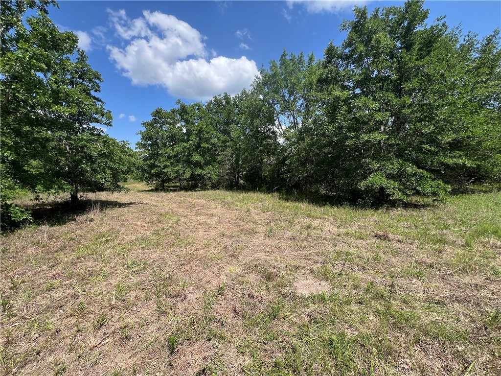 Lot #1 CR 218 , Anderson, TX, 77830 | 25003878 | Realty Texas LLC