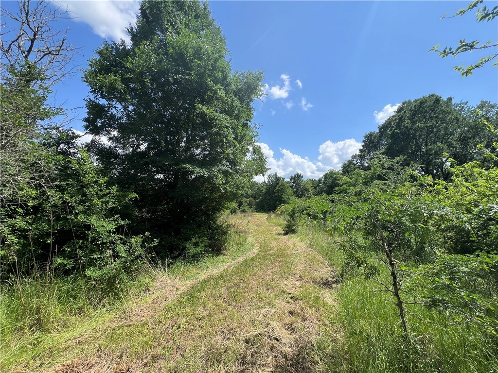 Lot #1 CR 218 , Anderson, TX, 77830 | 25003878 | Realty Texas LLC