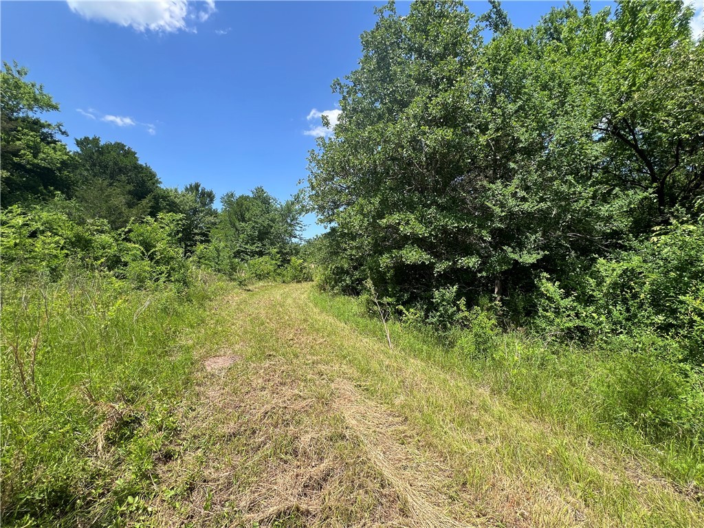 Lot #1 CR 218 , Anderson, TX, 77830 | 25003878 | Realty Texas LLC