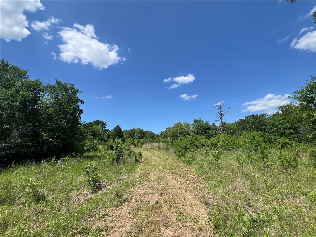 Lot #1 CR 218 , Anderson, TX, 77830 | 25003878 | Realty Texas LLC