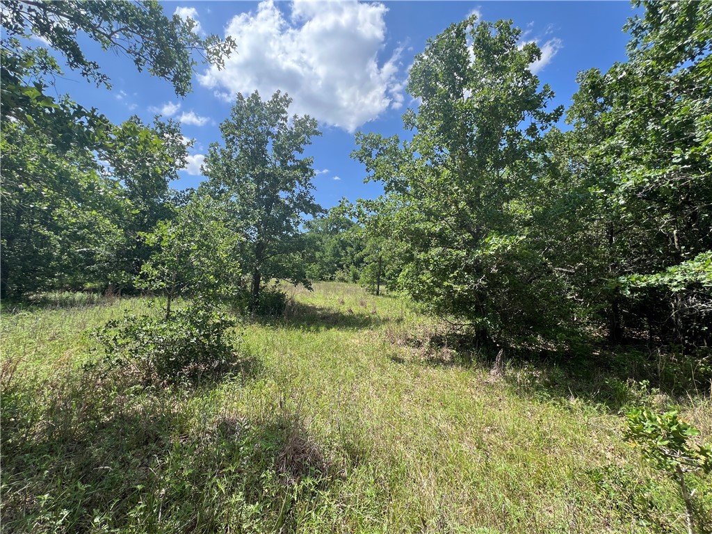 Lot #1 CR 218 , Anderson, TX, 77830 | 25003878 | Realty Texas LLC
