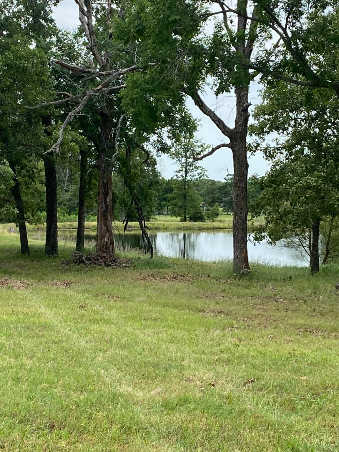 4942 E Tx-31 , Murchison, TX, 75778 | 20886325 | Realty Texas LLC