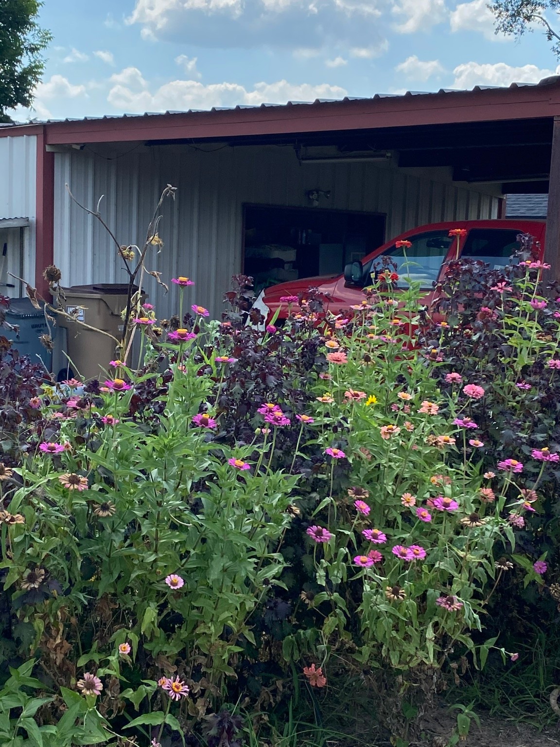 4942 E Tx-31 , Murchison, TX, 75778 | 20886325 | Realty Texas LLC