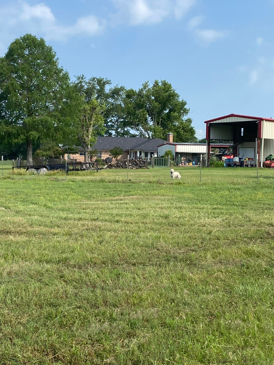 4942 E Tx-31 , Murchison, TX, 75778 | 20886325 | Realty Texas LLC