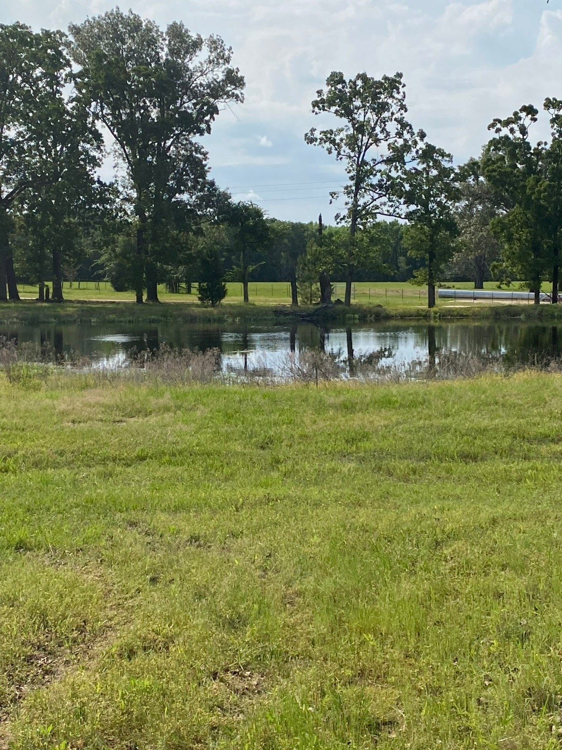 4942 E Tx-31 , Murchison, TX, 75778 | 20886325 | Realty Texas LLC