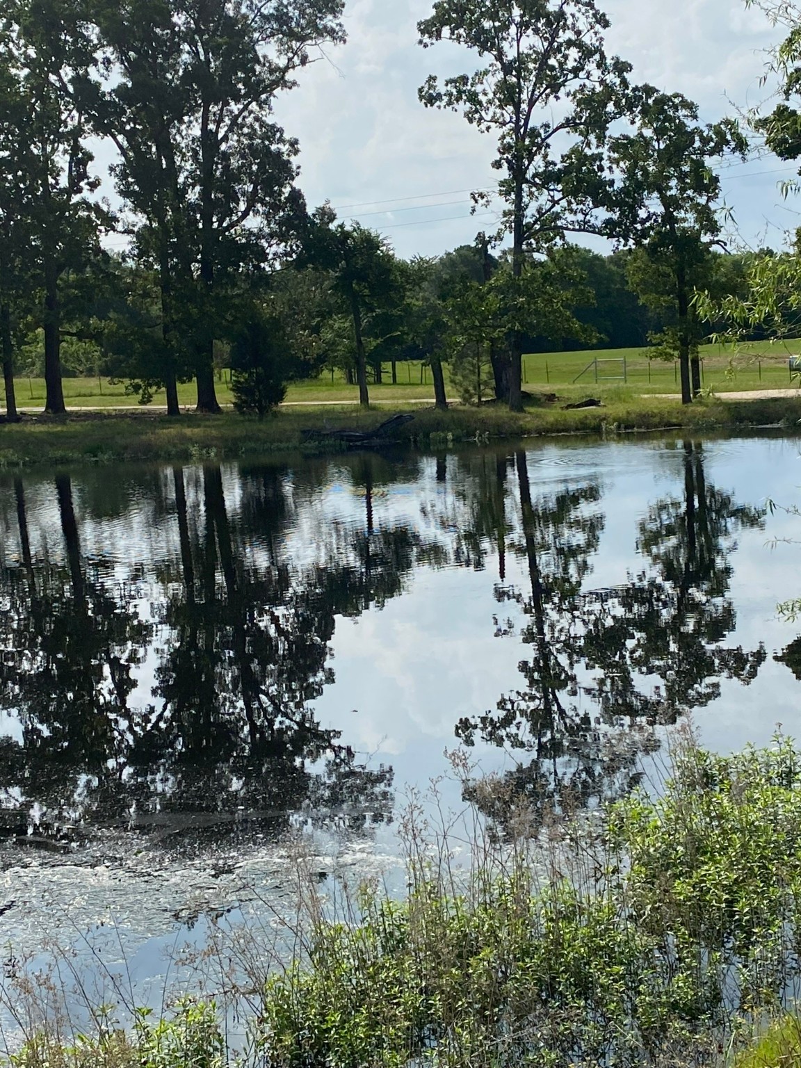 4942 E Tx-31 , Murchison, TX, 75778 | 20886325 | Realty Texas LLC
