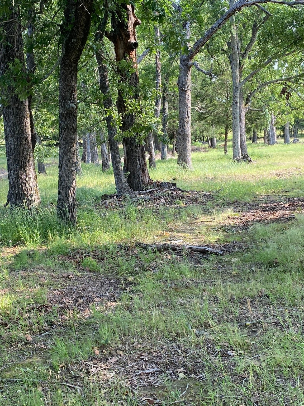 4942 E Tx-31 , Murchison, TX, 75778 | 20886325 | Realty Texas LLC