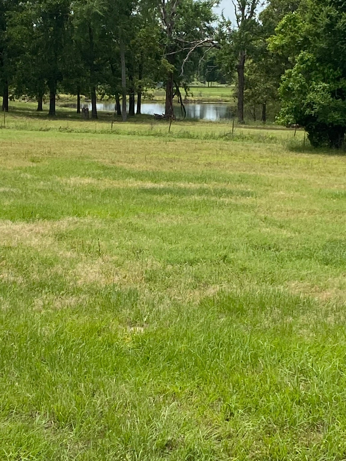 4942 E Tx-31 , Murchison, TX, 75778 | 20886325 | Realty Texas LLC