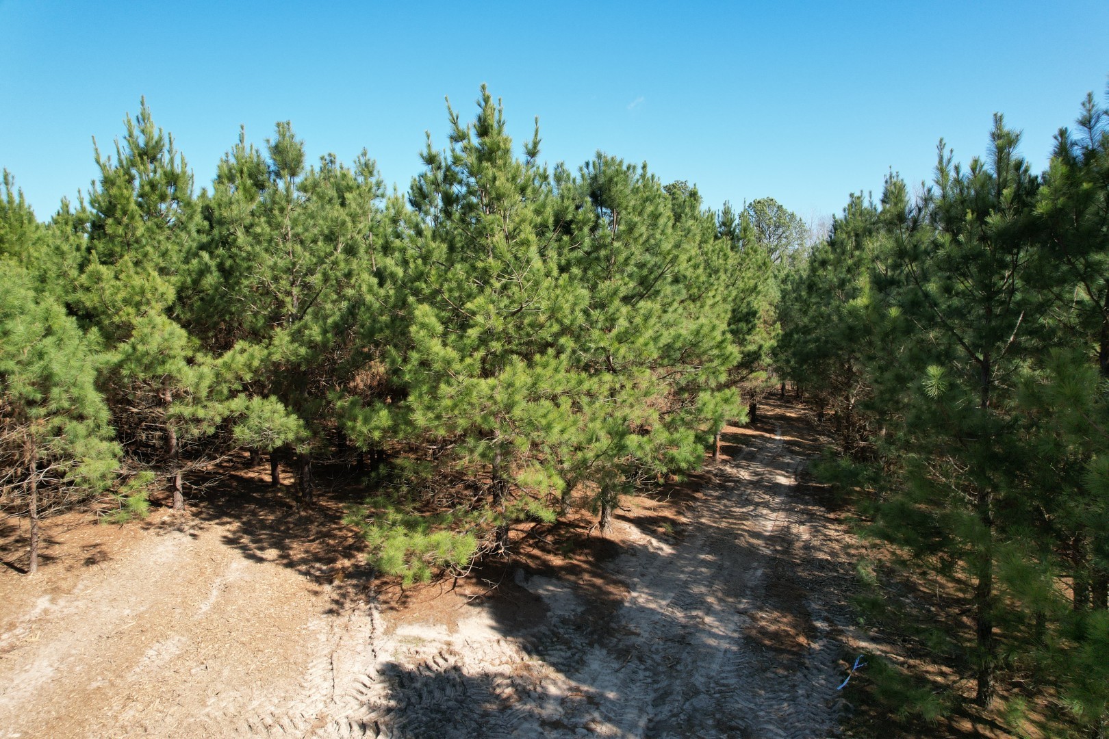 TBD-8 Hwy 271 , Gladewater, TX, 75647 | 63969271 | Realty Texas LLC