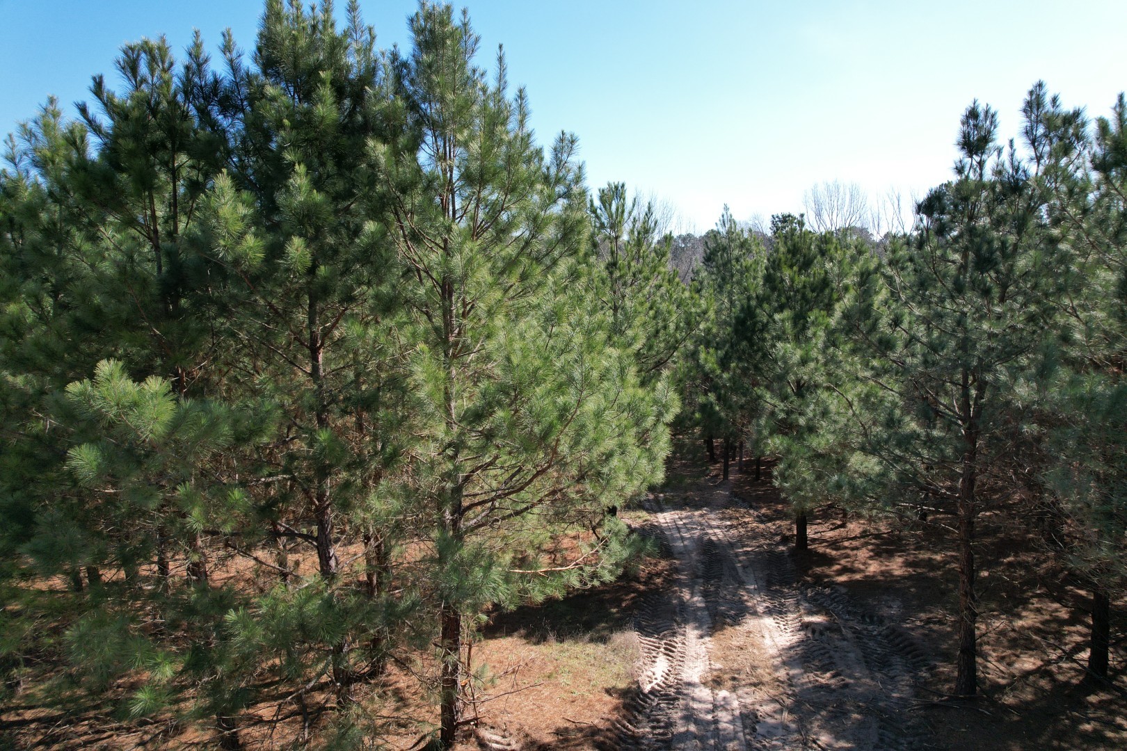 TBD-8 Hwy 271 , Gladewater, TX, 75647 | 63969271 | Realty Texas LLC