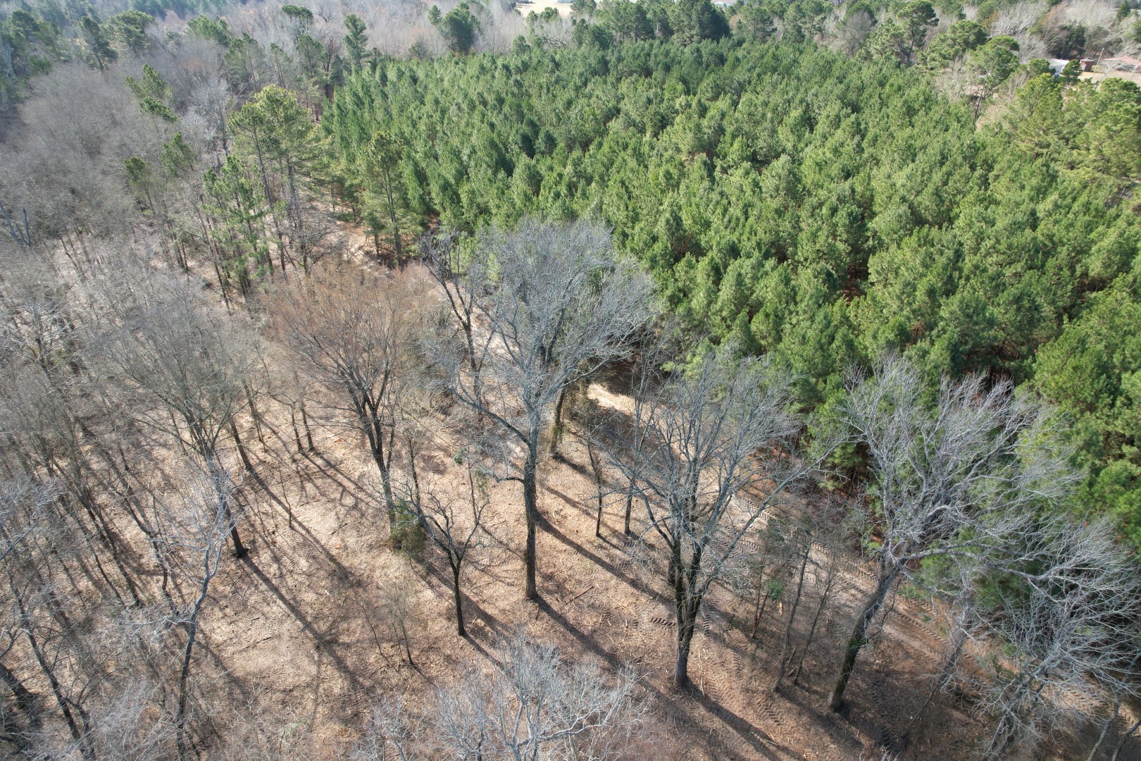 TBD-8 Hwy 271 , Gladewater, TX, 75647 | 63969271 | Realty Texas LLC