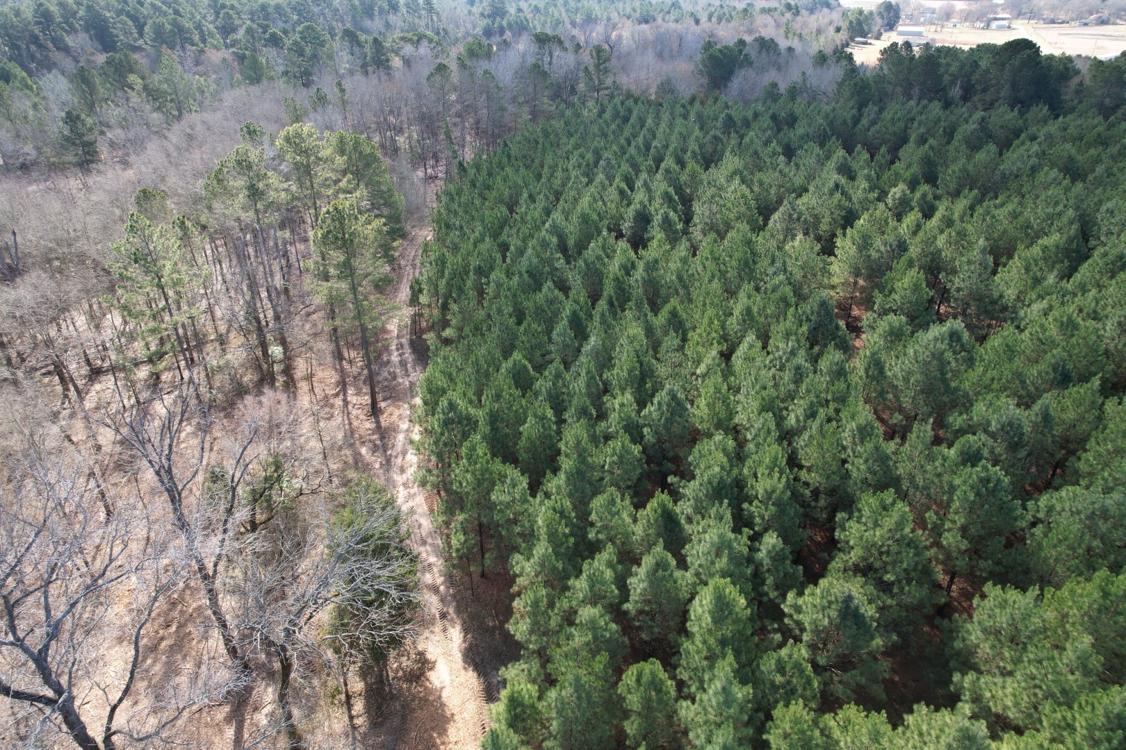 TBD-8 Hwy 271 , Gladewater, TX, 75647 | 63969271 | Realty Texas LLC