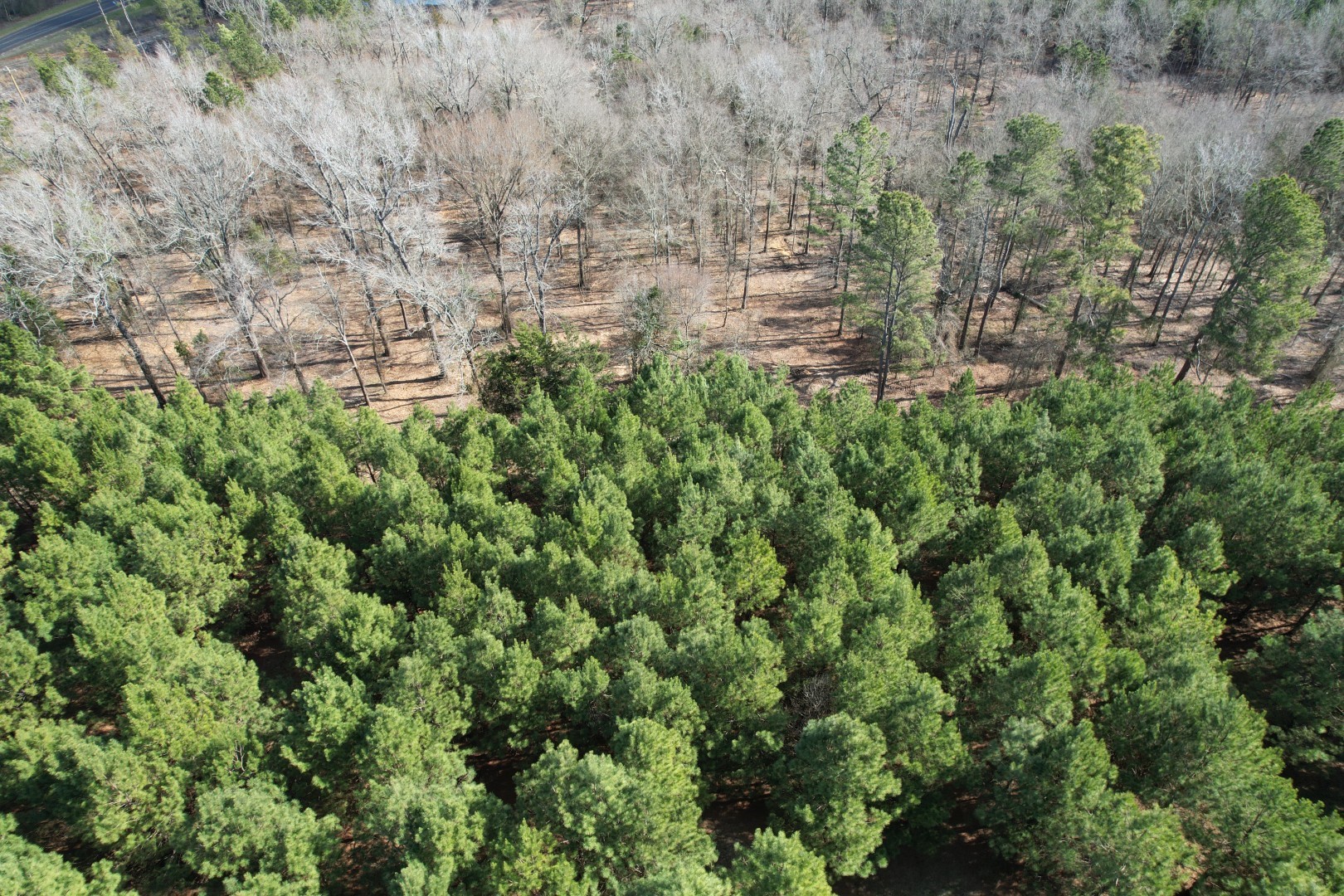 TBD-8 Hwy 271 , Gladewater, TX, 75647 | 63969271 | Realty Texas LLC
