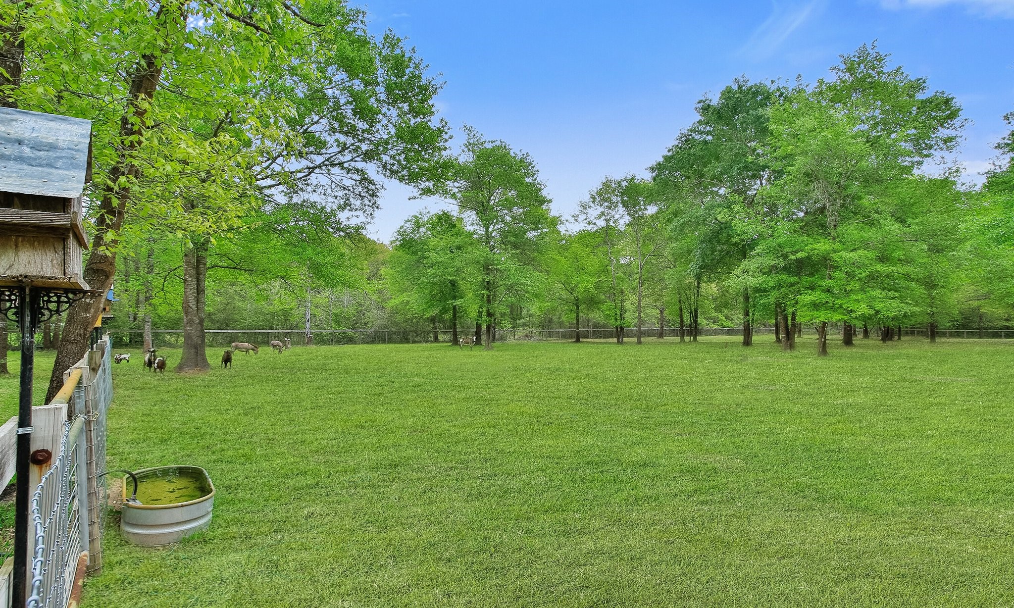 17427 Horseshoe Bend , Waller, TX, 77484 | 49490856 | Realty Texas LLC