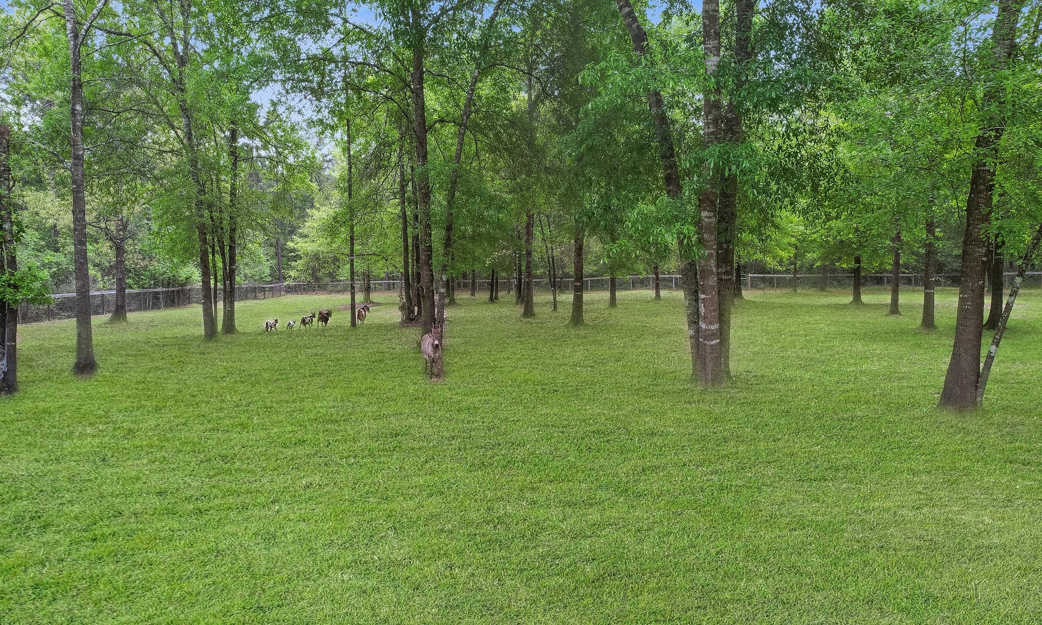 17427 Horseshoe Bend , Waller, TX, 77484 | 49490856 | Realty Texas LLC