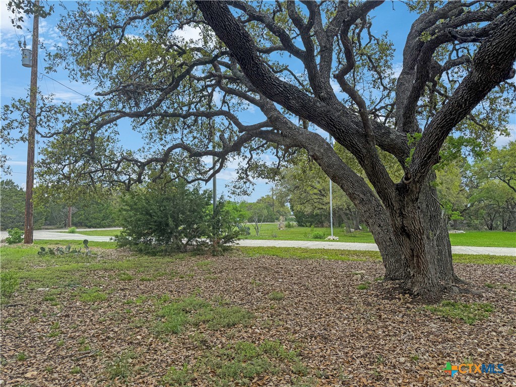 237 Toucan Drive , Spring Branch, TX, 78070 | 575279 | Realty Texas LLC