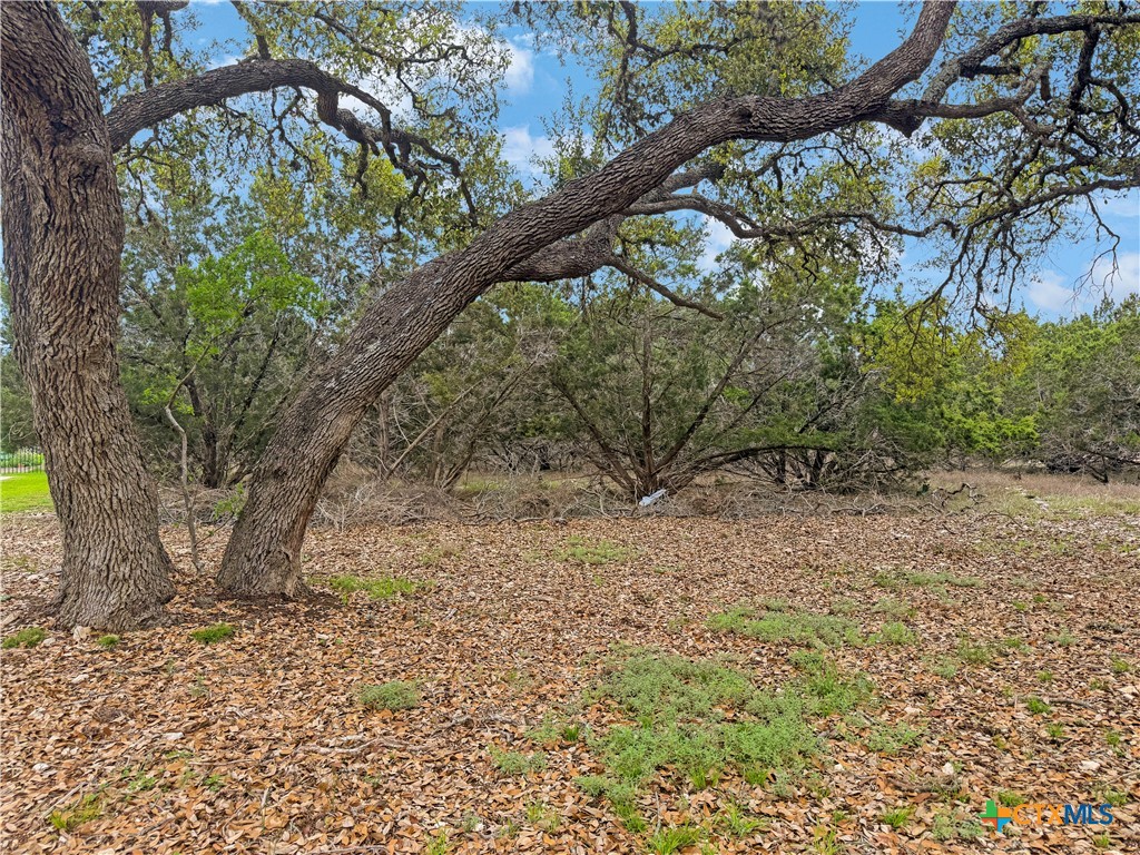 237 Toucan Drive , Spring Branch, TX, 78070 | 575279 | Realty Texas LLC