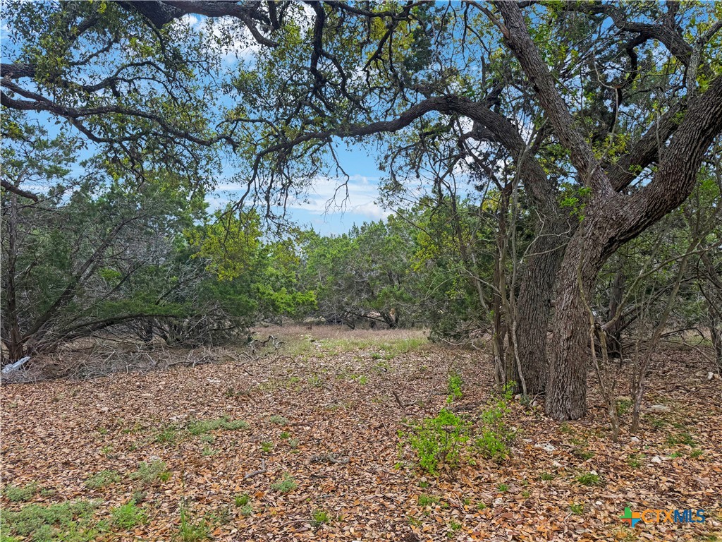 237 Toucan Drive , Spring Branch, TX, 78070 | 575279 | Realty Texas LLC