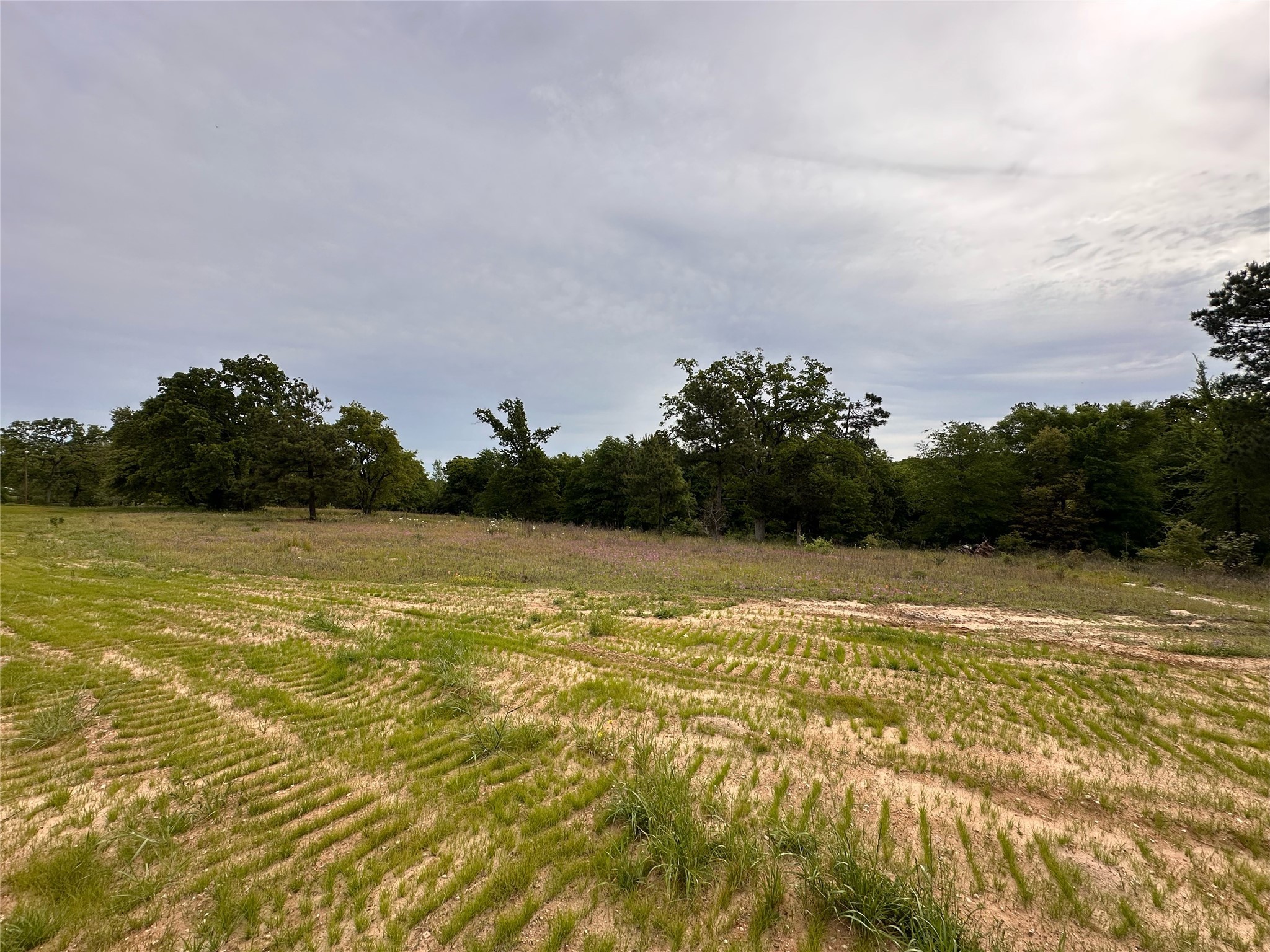 16944 Sawyer Way , Lindale, TX, 75771 | 20890846 | Realty Texas LLC