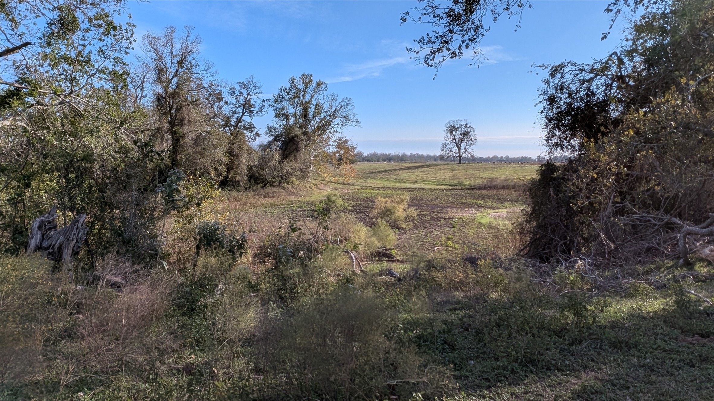 811 County Road 230 , Wharton, TX, 77488 | 24106554 | Realty Texas LLC
