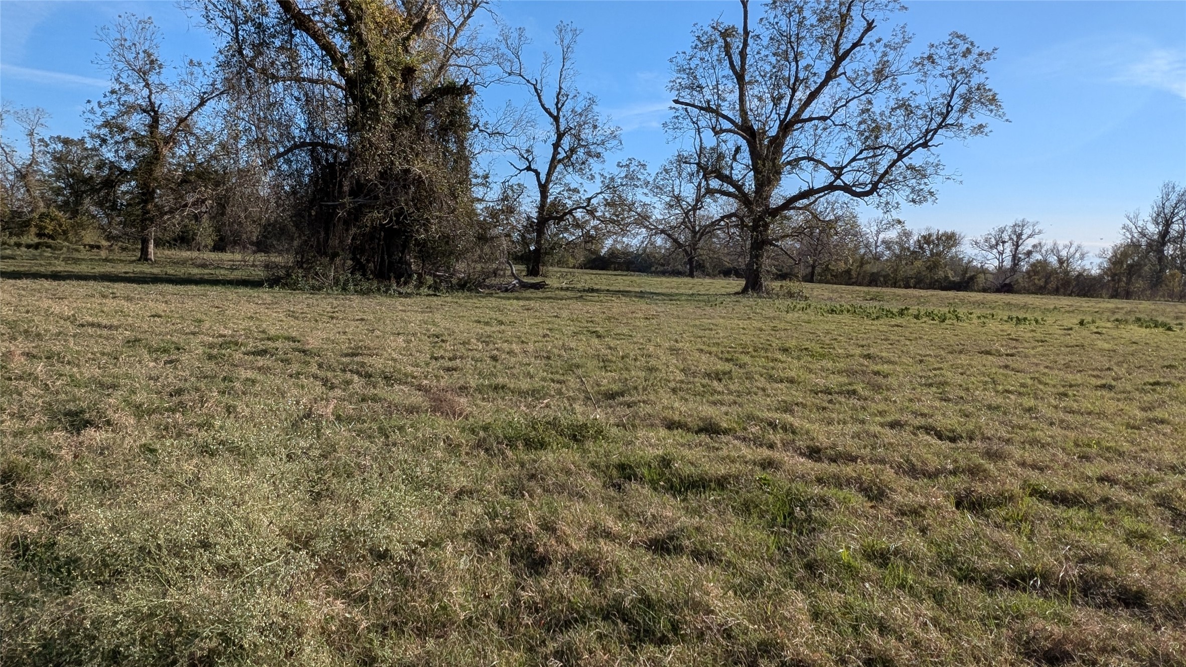811 County Road 230 , Wharton, TX, 77488 | 24106554 | Realty Texas LLC