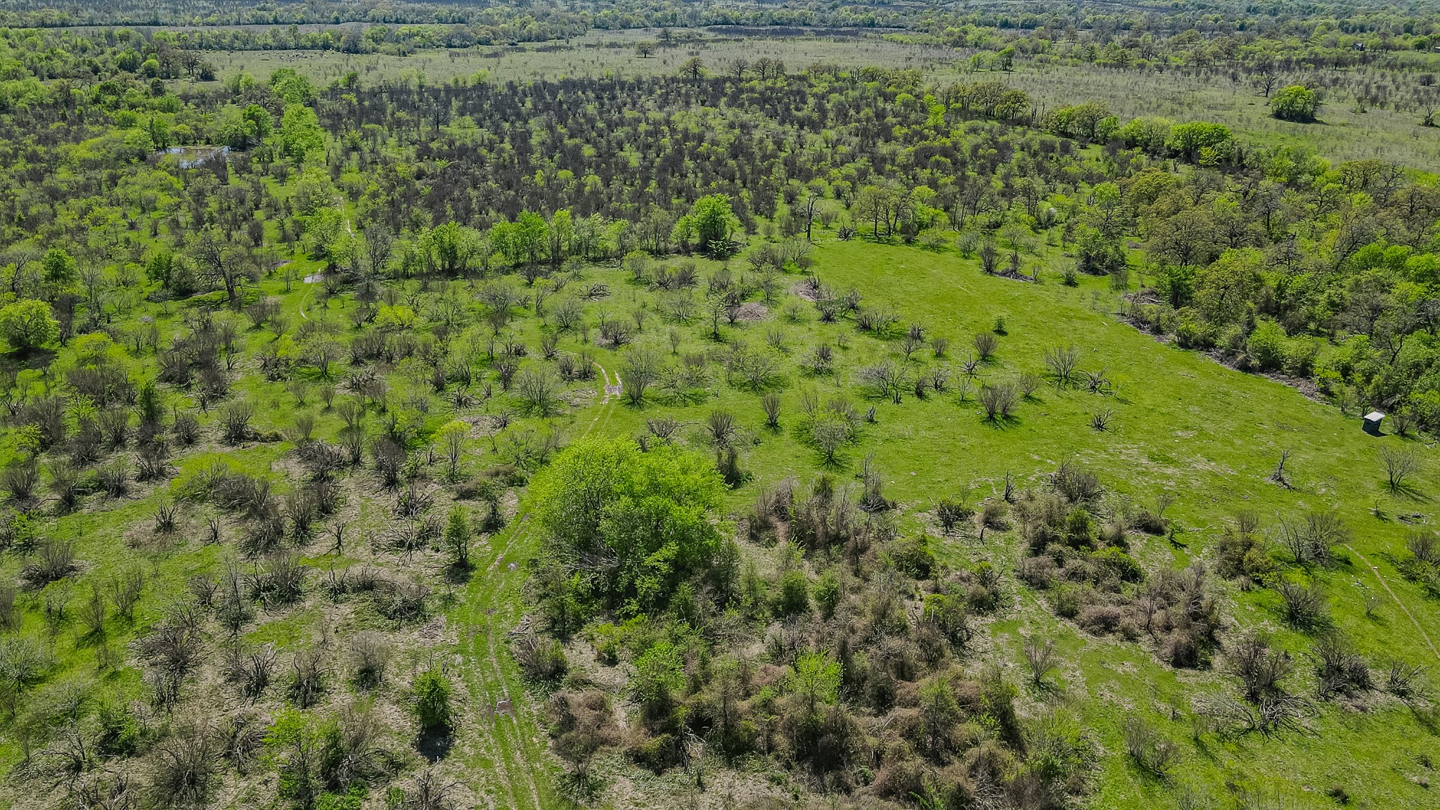 TBD County Road 108 , Iola, TX, 77861 | 50055941 | Realty Texas LLC