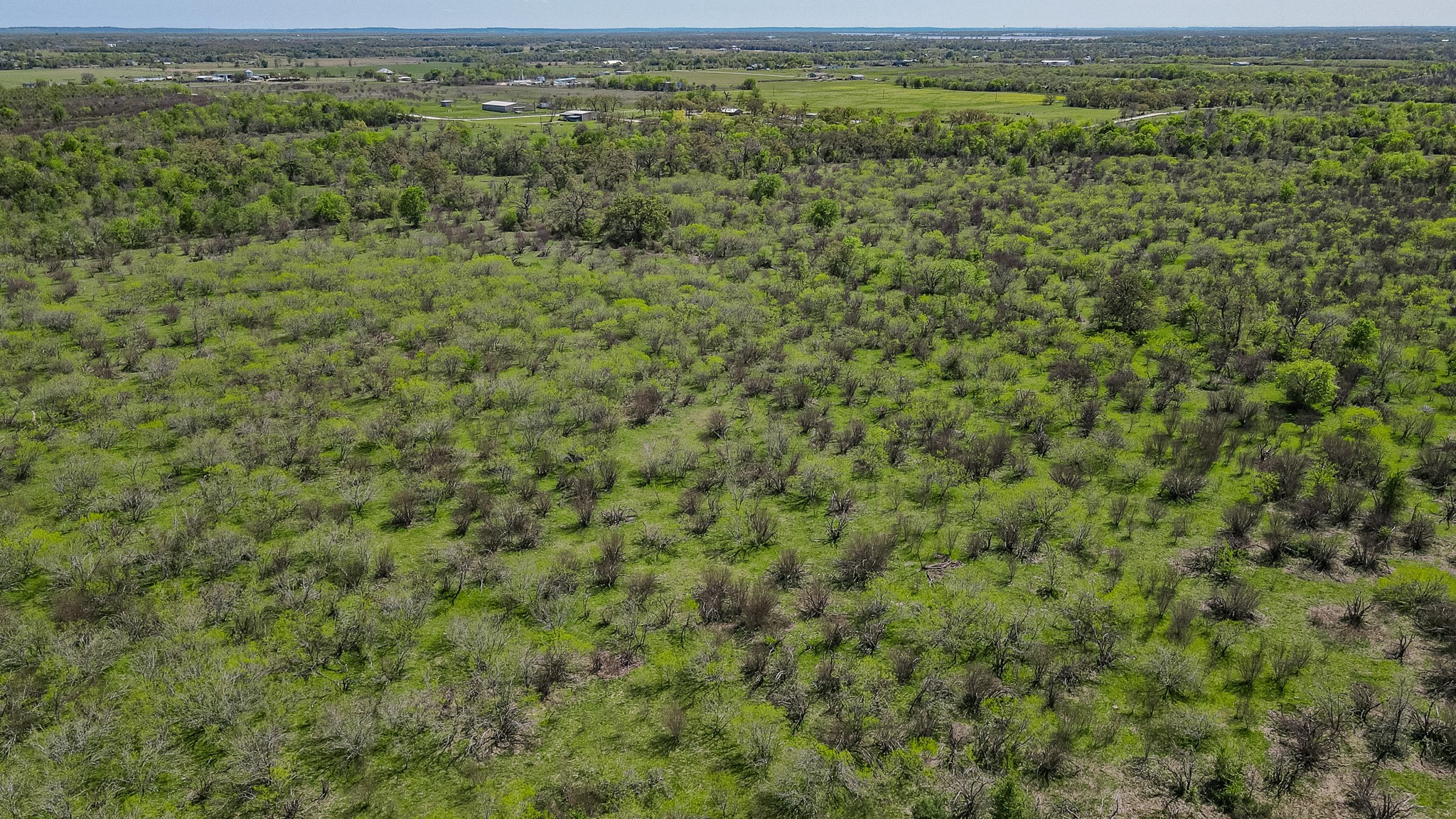 TBD County Road 108 , Iola, TX, 77861 | 50055941 | Realty Texas LLC