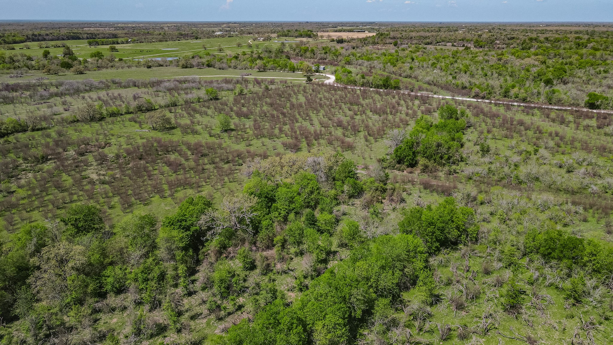 TBD County Road 108 , Iola, TX, 77861 | 50055941 | Realty Texas LLC