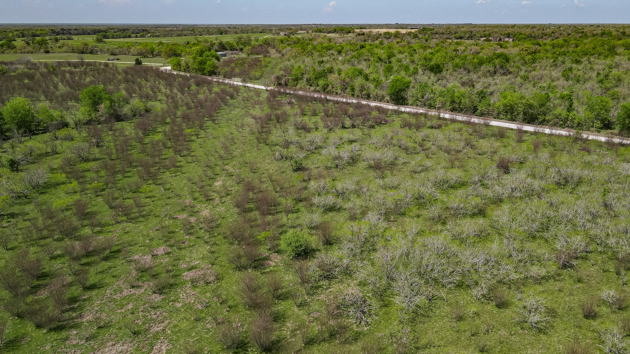 TBD County Road 108 , Iola, TX, 77861 | 50055941 | Realty Texas LLC