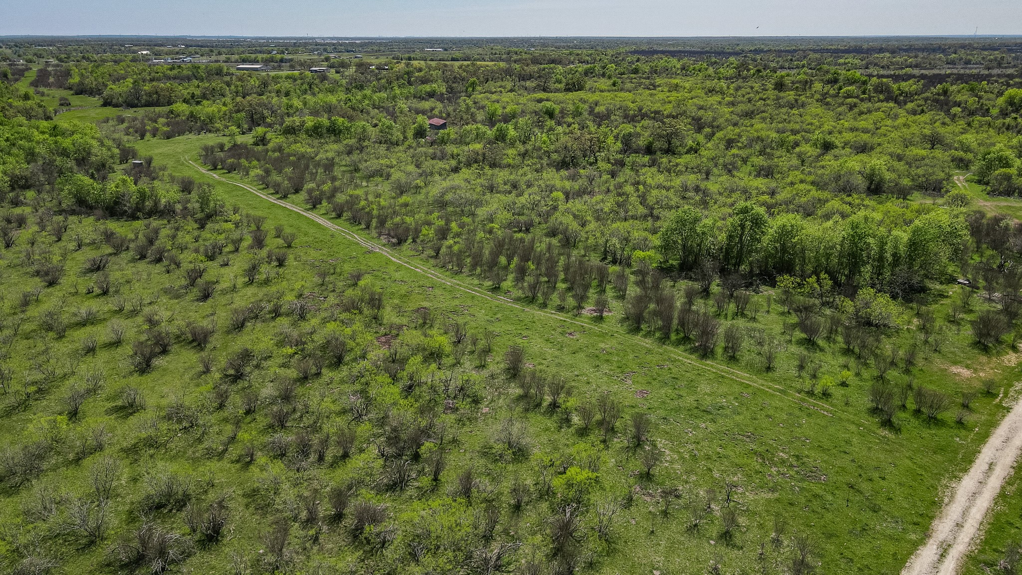 TBD County Road 108 , Iola, TX, 77861 | 50055941 | Realty Texas LLC