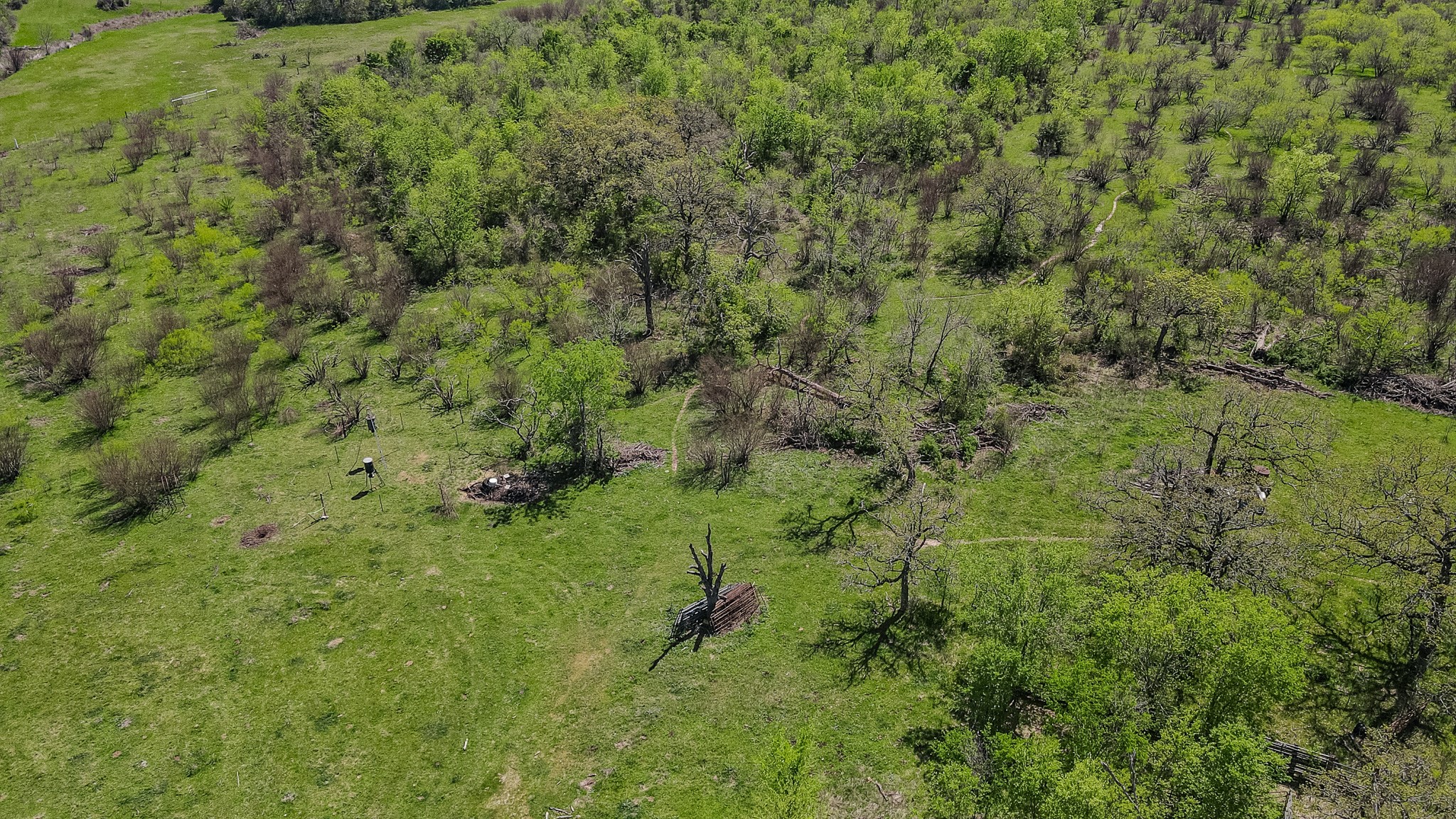 TBD County Road 108 , Iola, TX, 77861 | 50055941 | Realty Texas LLC