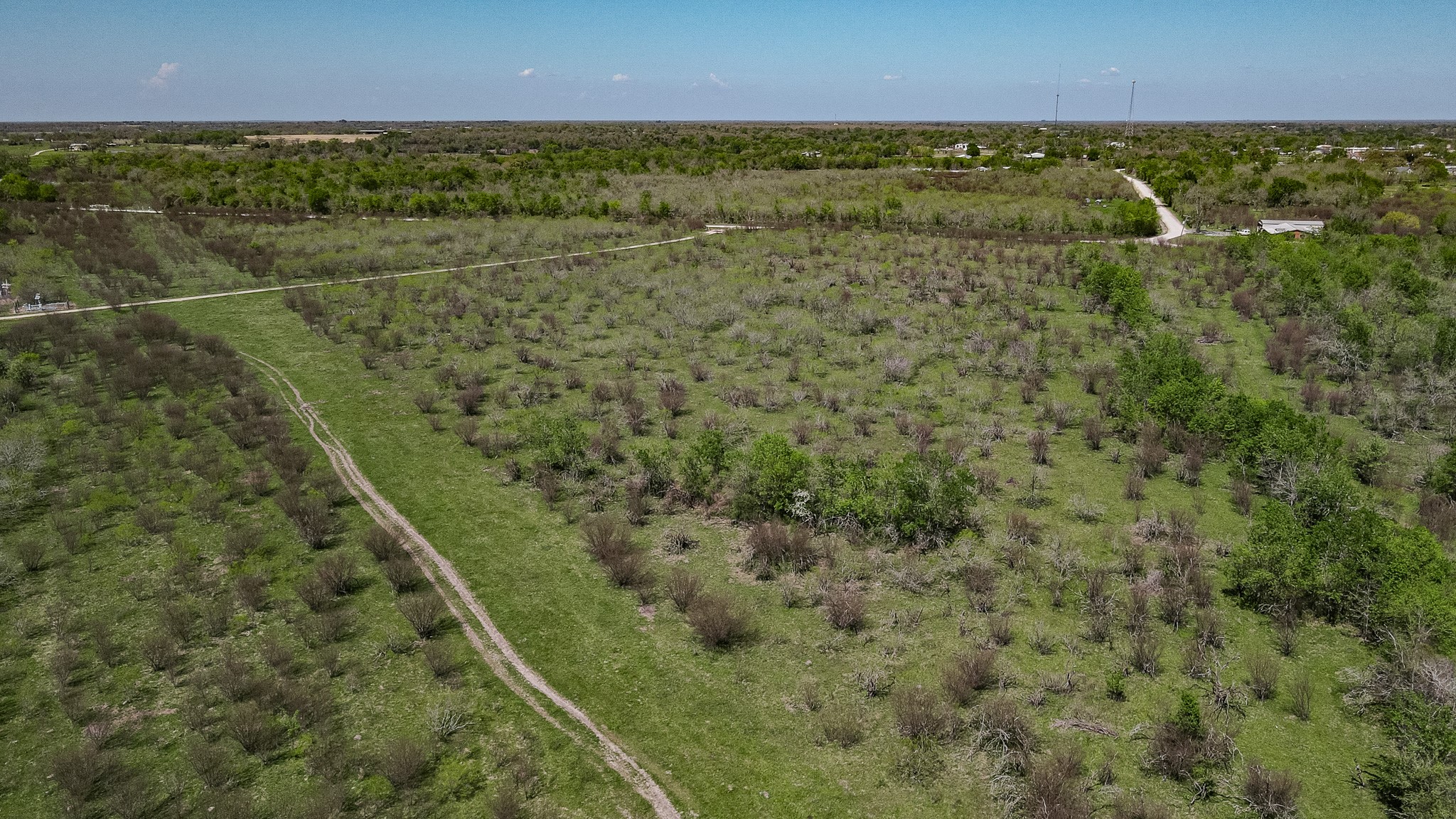 TBD County Road 108 , Iola, TX, 77861 | 50055941 | Realty Texas LLC