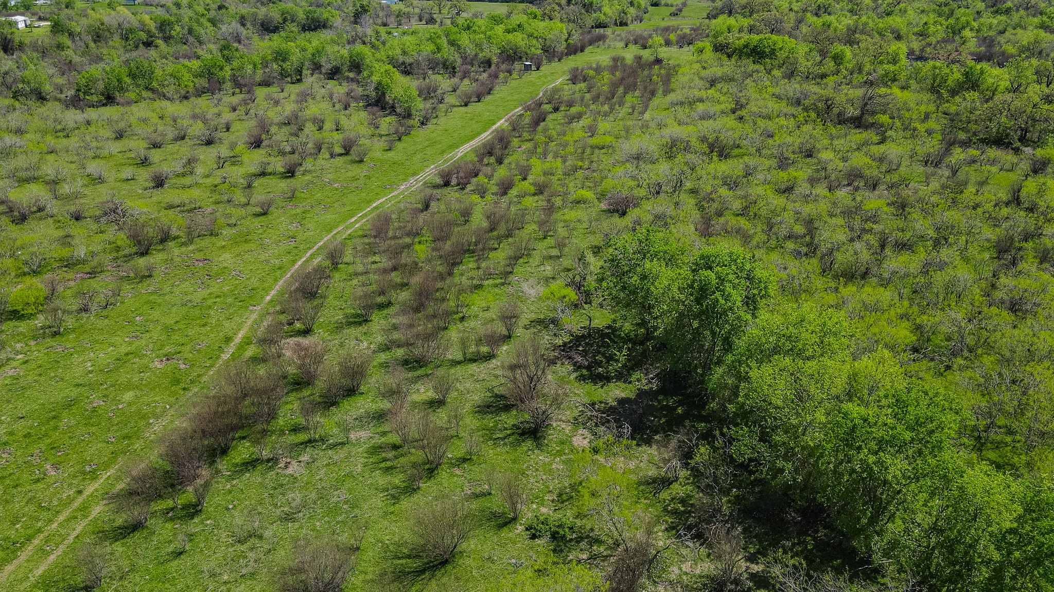 TBD County Road 108 , Iola, TX, 77861 | 50055941 | Realty Texas LLC