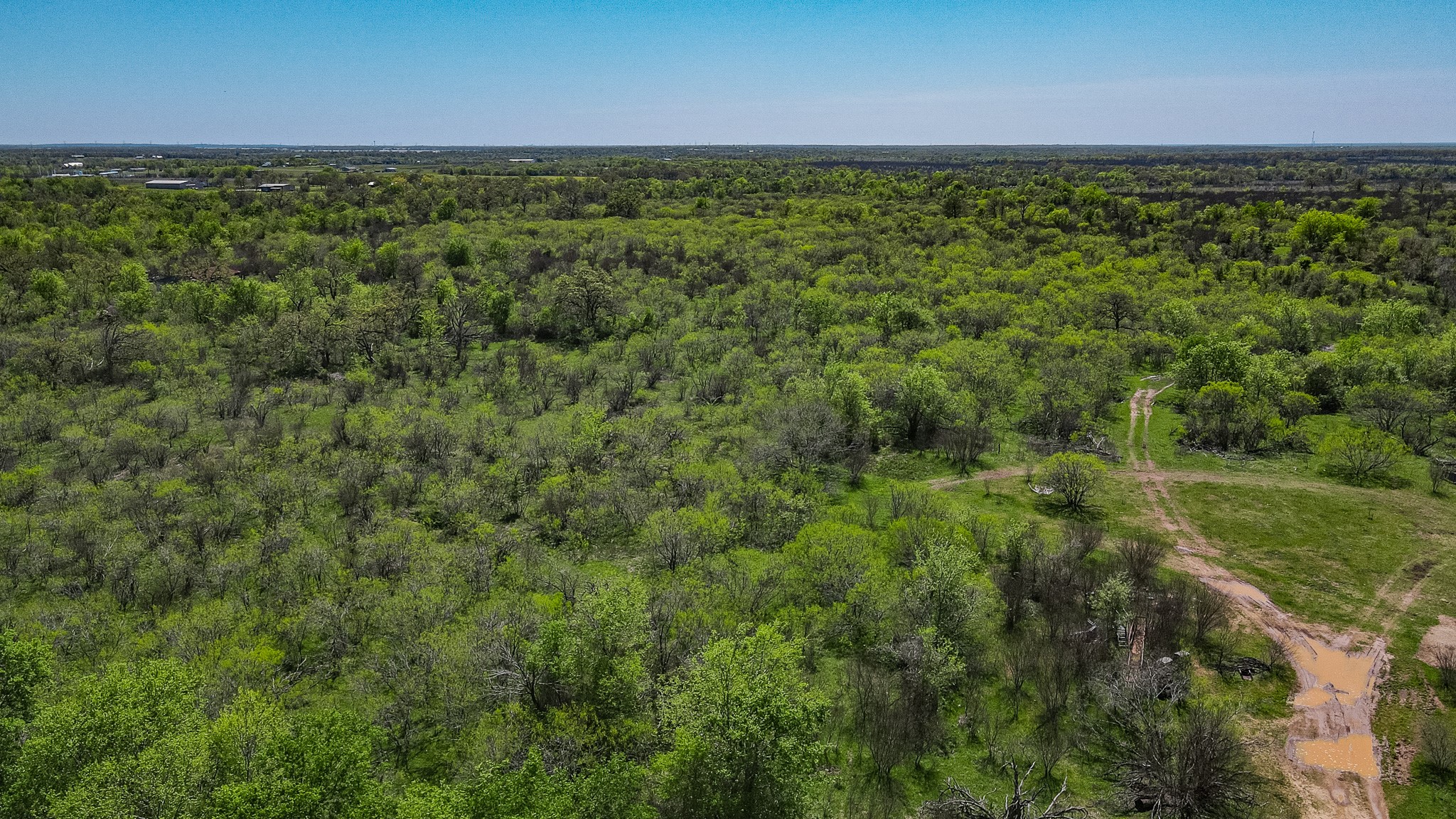 TBD County Road 108 , Iola, TX, 77861 | 50055941 | Realty Texas LLC