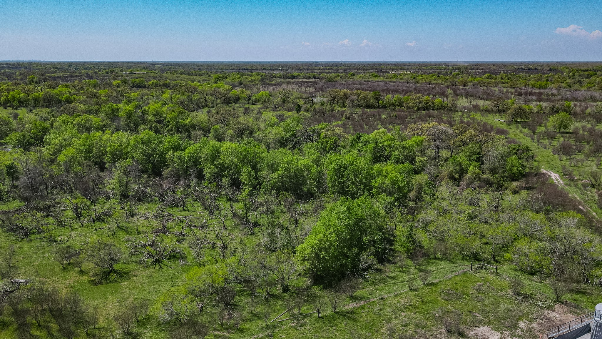 TBD County Road 108 , Iola, TX, 77861 | 50055941 | Realty Texas LLC
