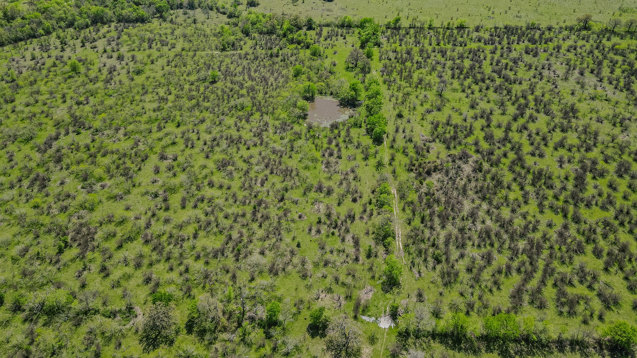 TBD County Road 108 , Iola, TX, 77861 | 50055941 | Realty Texas LLC