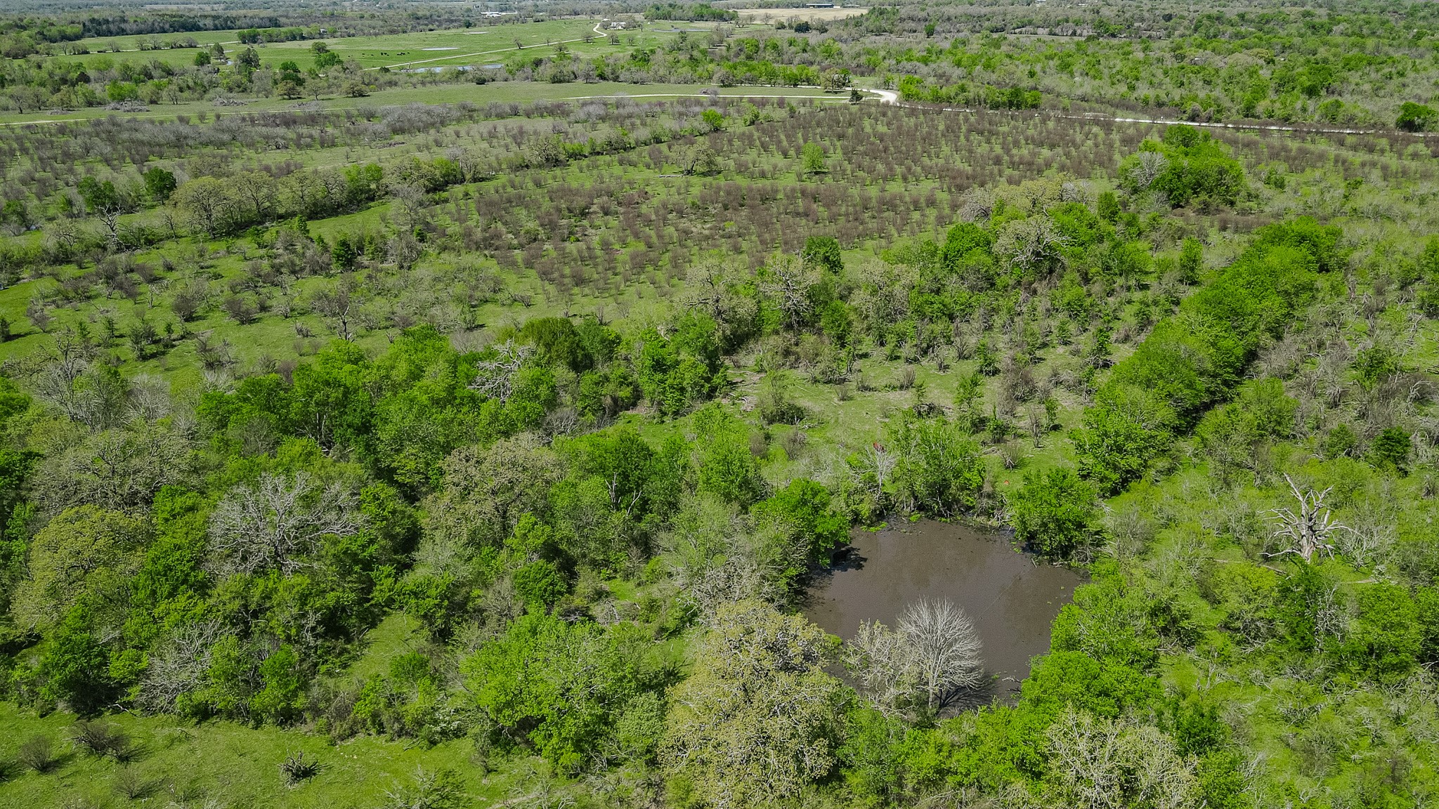 TBD County Road 108 , Iola, TX, 77861 | 50055941 | Realty Texas LLC
