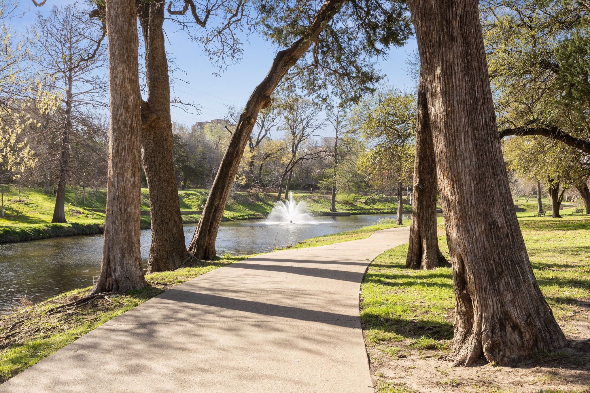 3883 Turtle Creek Boulevard 1716 , Dallas, TX, 75219 | 20889048 | Realty Texas LLC