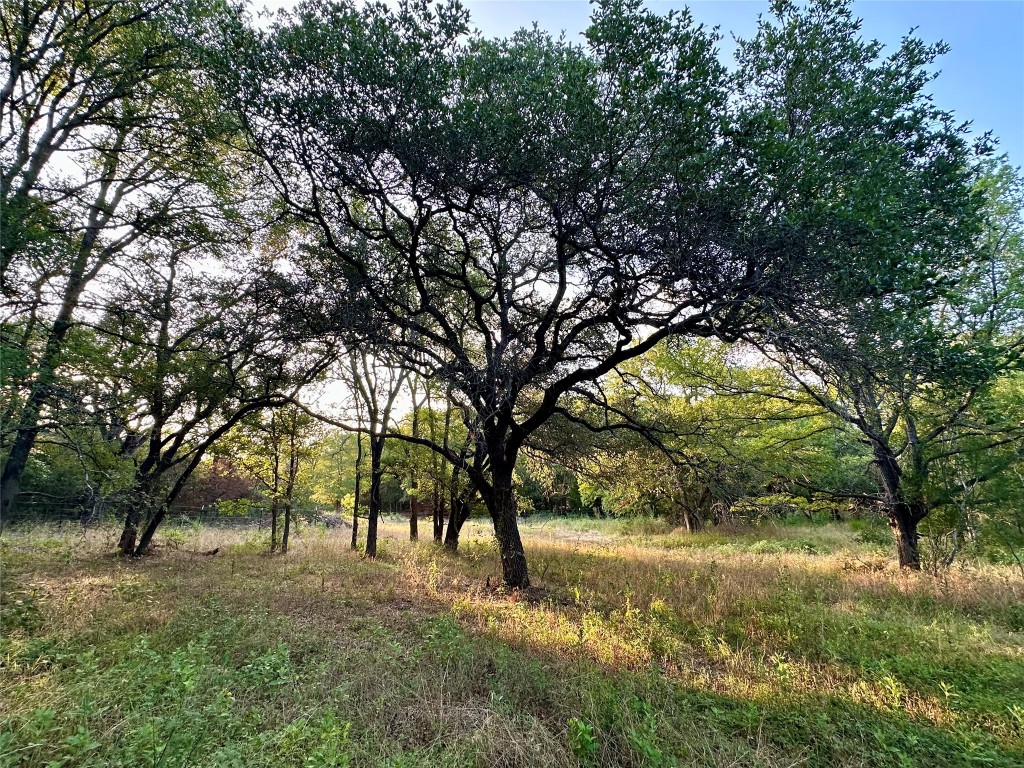 0 Decker Lake Road , Austin, TX, 78724 | 1584558 | Realty Texas LLC