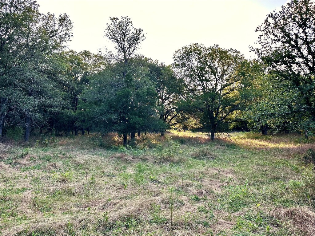 0 Decker Lake Road , Austin, TX, 78724 | 1584558 | Realty Texas LLC