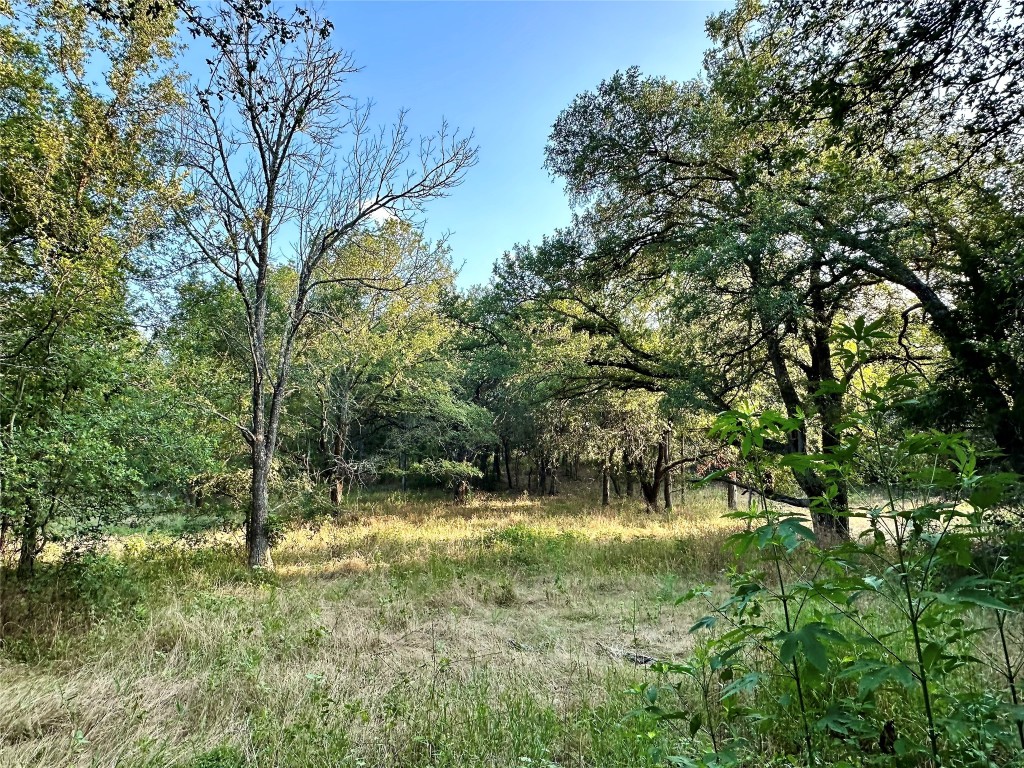 0 Decker Lake Road , Austin, TX, 78724 | 1584558 | Realty Texas LLC