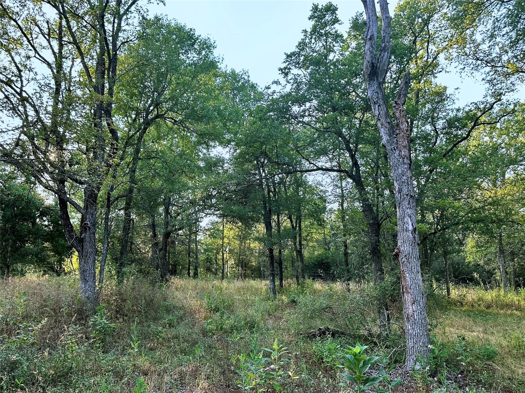 0 Decker Lake Road , Austin, TX, 78724 | 1584558 | Realty Texas LLC