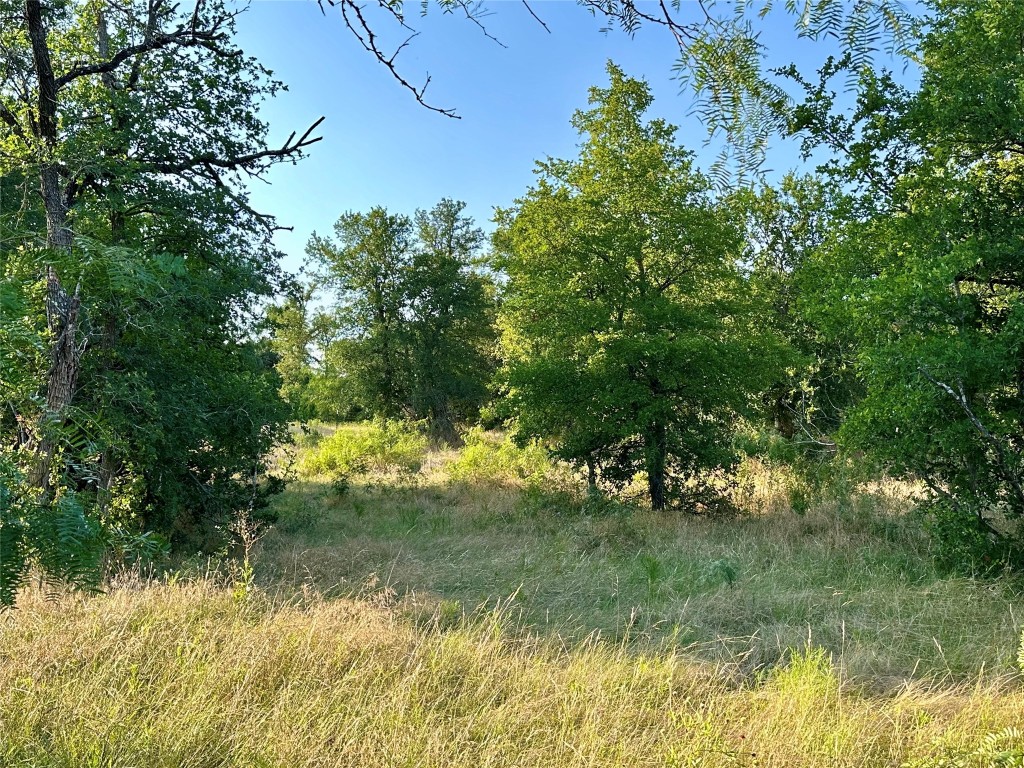 0 Decker Lake Road , Austin, TX, 78724 | 1584558 | Realty Texas LLC